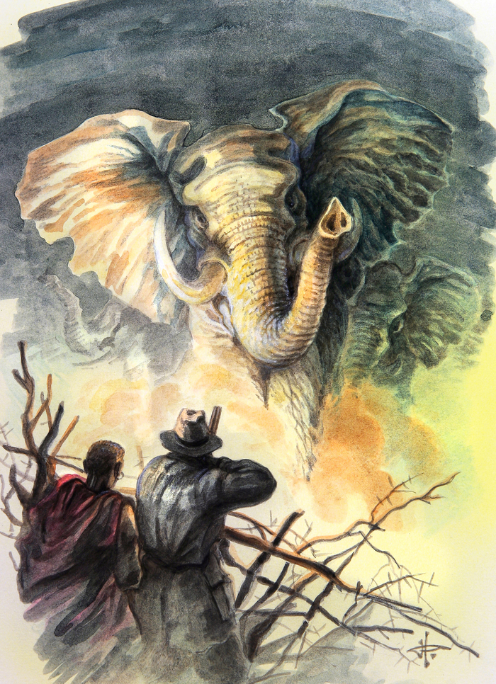 За слоновой костью.