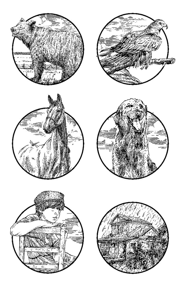 концовки для книжки про животных