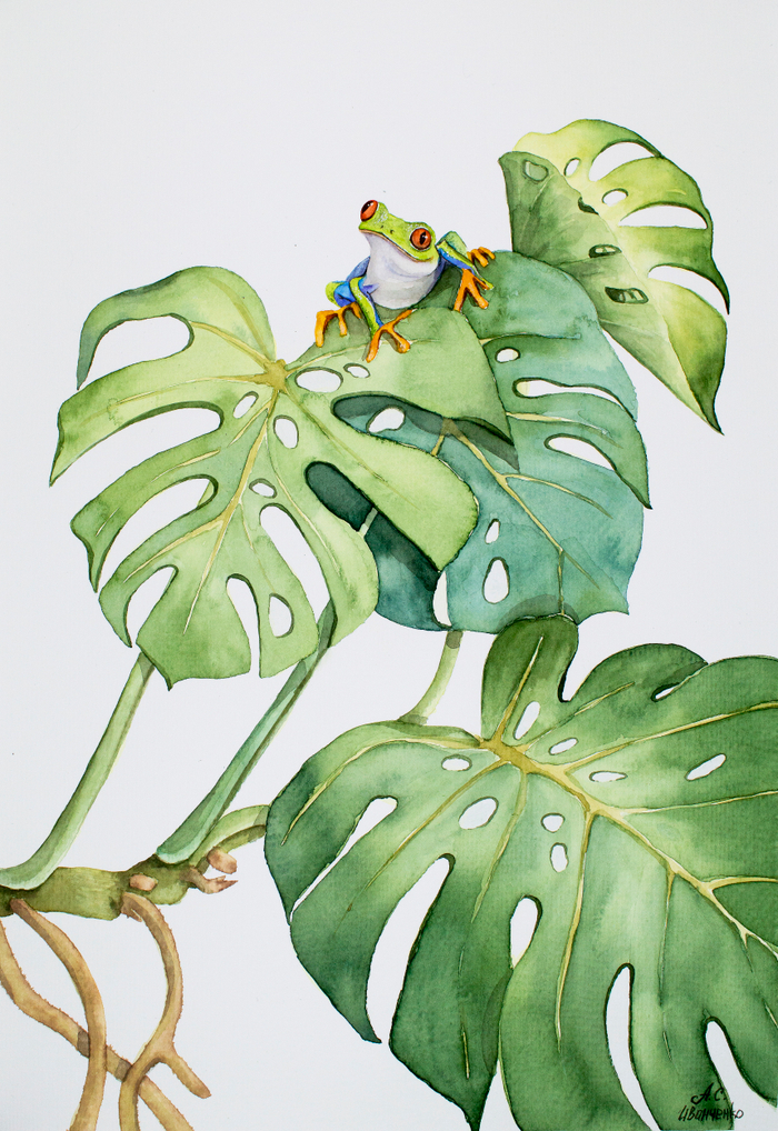 Лягушонок на монстере. Акварель