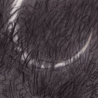 В саду гесперид