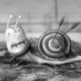Snail