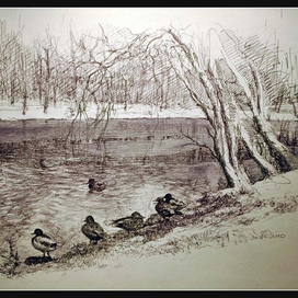 Городской пруд