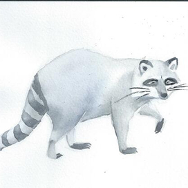 животные азбука