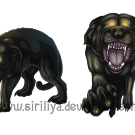 Злая собака