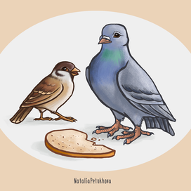Голубь и воробей