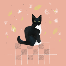 Дорка-помидорка