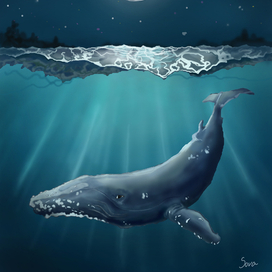 Два спутника жизни