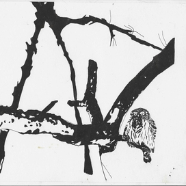 В переплетении ветвей