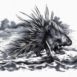 Молниеносный. 7-0