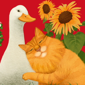 Рыжий кот круглый год