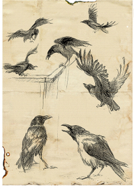 иллюстрации к книге "Смоленский бестиарий" Евдокимов М.