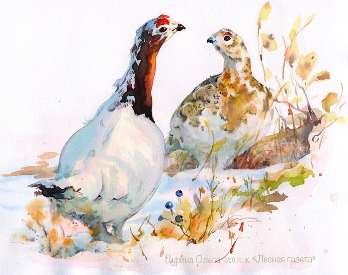 Весенняя хитрость