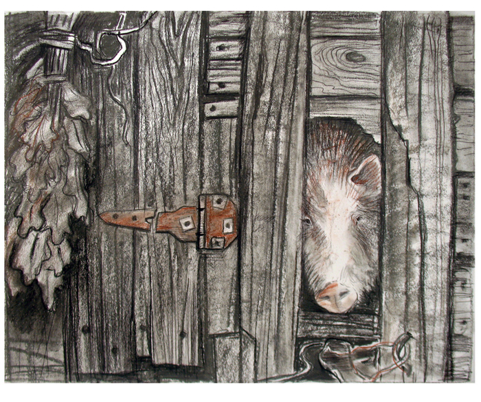 Наблюдатель