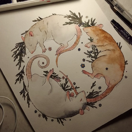 Мои любимые