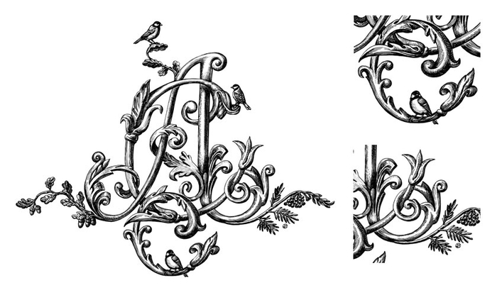 Монограмма "ССА"