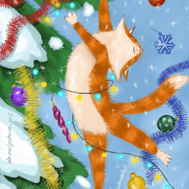 Летающий котик