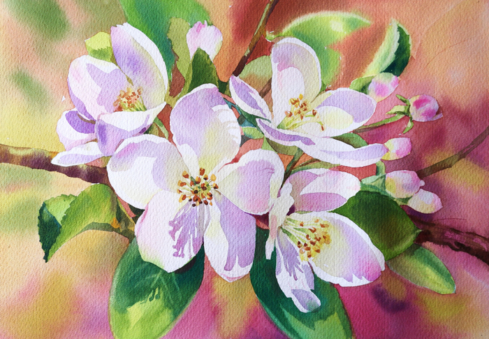 "Ветка яблони"