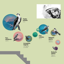 Концепция дизайна интерьера кафе "Космос"