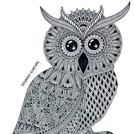 owl / сова
