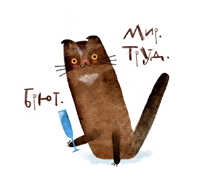 Котик выходного дня