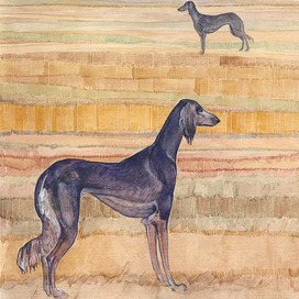 Борзые в поле