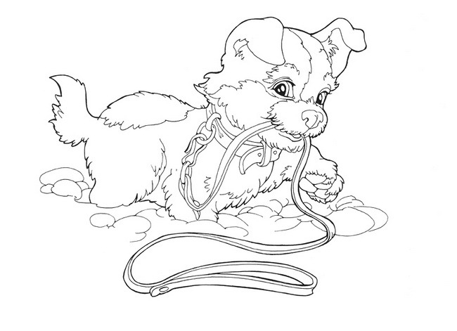 Прогулка с щенком