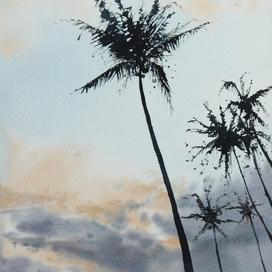 Закат и пальмы