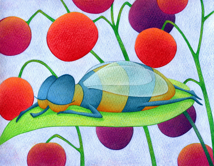 Мушка спит. Иллюстрация для учебника.