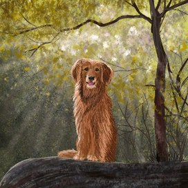 Собака и осень