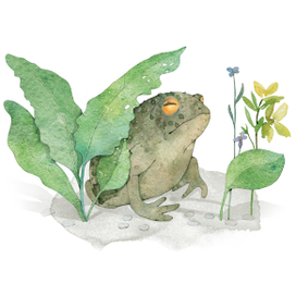 "Совиный волк"