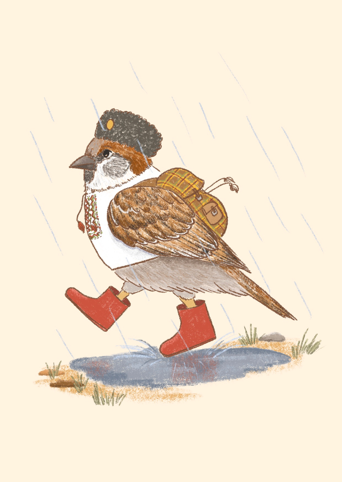 Кубанский воробушек