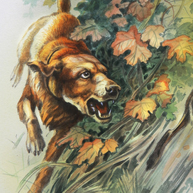 За зайцем...