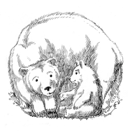 Медведица с медвежонком.