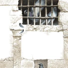 К Снежной Королеве. Голуби 