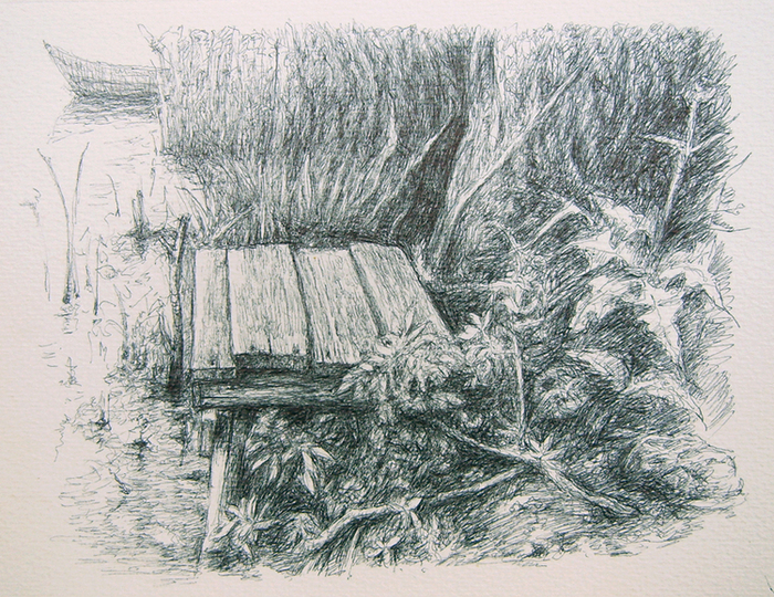 Здесь хорошо клюют плотвички