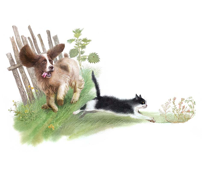 Сват. Пришвин.