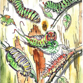 У гусениц обед