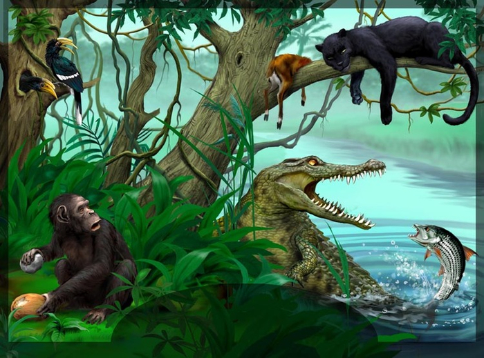 Джунгли Африки