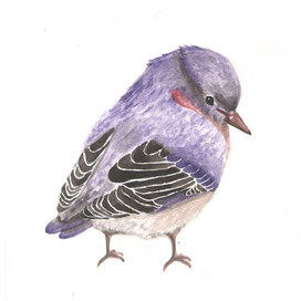 маленькая птичка