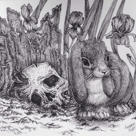 Irises, a rabbit and a skull