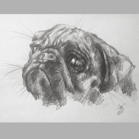 Ёпсиль-Мопсиль-5. Мопсилиана