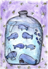 Киты в банке