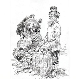 Иллюстрация . Медведь