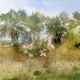 Розовый куст