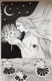 ночной лотос