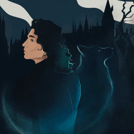 Серия "мародёры", Сириус Блэк 