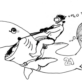 Верхом на акуле