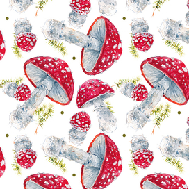 Мухоморчики в строю