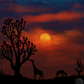 Горящий закат в Южной Африке