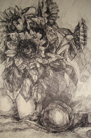 Подсолнухи